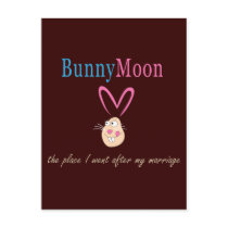 Honeymoon Rabbit Postcard