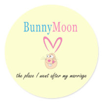 Honeymoon Rabbit Round Stickers