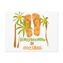 Honeymooning in Cozumel postcards