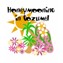 Honeymooning in Cozumel t-shirts