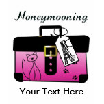 Honeymooning Paris T Shirt