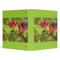 Honeysuckle binders