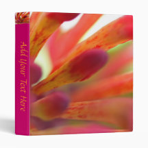 Honeysuckle Buds 2 Vinyl Binder