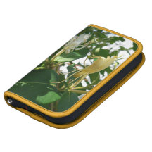 Honeysuckle Bumble Bee Organizers