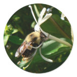 Honeysuckle Bumble Bee Sticker