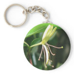 Honeysuckle keychains