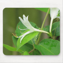 Honeysuckle mousepads