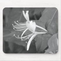 Honeysuckle mousepads