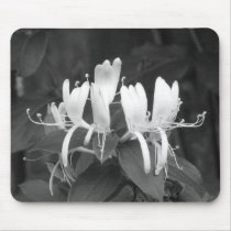 Honeysuckle mousepads