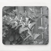 Honeysuckle mousepads