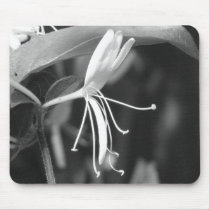 Honeysuckle mousepads
