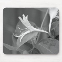 Honeysuckle mousepads