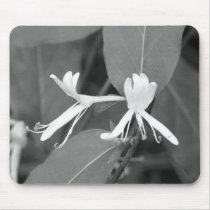 Honeysuckle mousepads