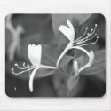 Honeysuckle mousepad