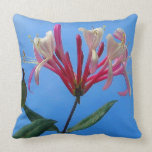Honeysuckle & Roses American MoJo Pillow Honeysuckle & Roses American MoJo Pillow