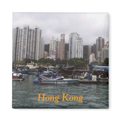 Hong Kong Bay Magnet by gubanich