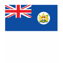 Hong Kong Flag (1949) T-shirt