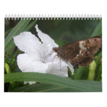 Hong Kong Flowers Floral Calendar