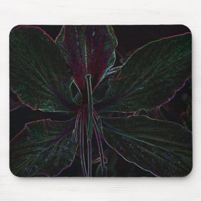 Hong Kong Orchid Tree flower mouse pad by dphleger