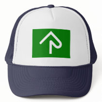 Hong Kong Regional Council Mesh Hats