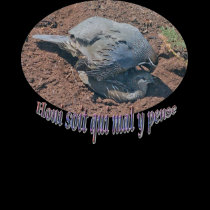 Honi soit... t-shirts