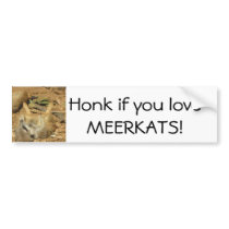 Honk if you love MEERKATS! bumper stickers