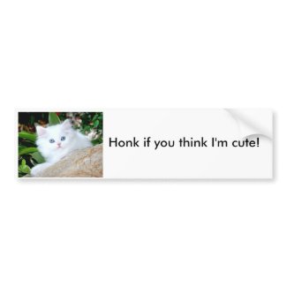 Honk if you think I'm cute! bumpersticker