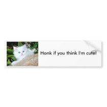 Honk if you think I'm cute! bumper stickers