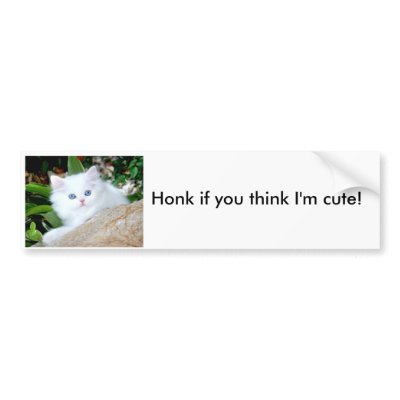Honk if you think I'm cute! Bumper Sticker by cozykittens
