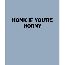 HONK IF YOU'RE HORNY t-shirts