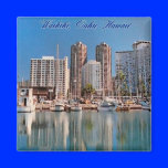 Honolulu Scenes Magnet magnets