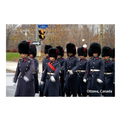Honor Guards  Print by sauvey