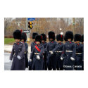 Honor Guards posters by sauvey Honor Guards posters