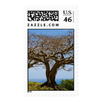 honor in harmony postage