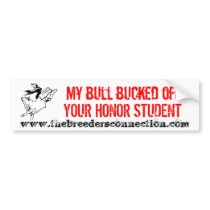 HONOR STUDENT BUMPER STICKERS