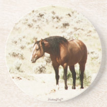 "Honor" Wild Stallion Coaster coasters