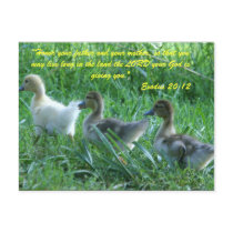 Honor your father and your mother, so that you ma postcards
