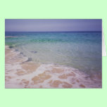Honu at  La a'Loa Beach cards