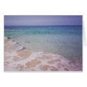 Honu at La a'Loa Beach cards by Rebecca_Reeder Honu at La a'Loa Beach cards