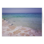 Honu at  La a'Loa Beach Card