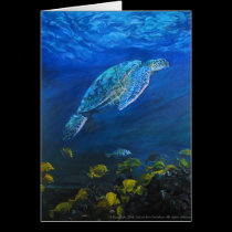 Honu Lau'i Pala cards