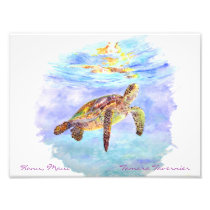 Honu, Maui                         Tamara... photography