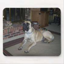 Hooch Mastiff Dog Mouse Mat