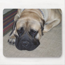Hooch mousepads