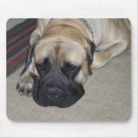 Hooch Mouse Pads