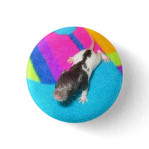 Hooded Baby Rat buttons by rodentrescue Hooded Baby Rat buttons