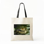 Hooded Merganser Hen bags