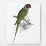 Hooded Parrakeet by Edward Lear Mousemat