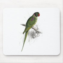 Hooded Parrakeet by Edward Lear Mousemats