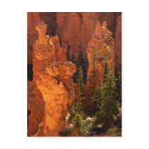 Hoodoos And Goblins Post Cards